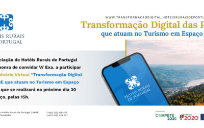 Seminário Virtual “Transformação Digital das PME que atuam no Turismo em Espaço Rural”